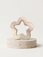 Immunity boosting Neem wooden teethers with animal shapes for babies